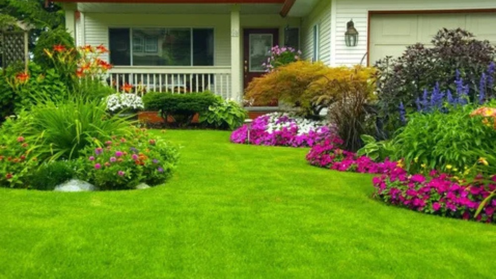 Landscaping In Kitsap County, Wa